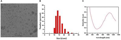 The Ultrasmall Biocompatible CuS@BSA Nanoparticle and Its Photothermal Effects